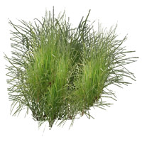 http://www.parsimonious.org/furniture2/files/k8-Resplendant_Garden-Grass_Colour_4.jpg