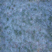 http://www.parsimonious.org/wallandfloor2/files/k8gnafrostedgrass.jpg